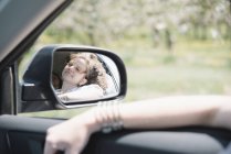 Mulher em um carro em uma viagem — Fotografia de Stock