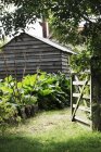 Granero en un jardín maduro - foto de stock