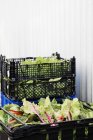 Gepackte Salatblätter — Stockfoto