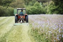 Tractor cutting a grass crop — Stock Photo