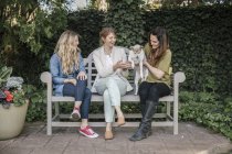 Women with dog sitting on a bench in a garden — Stock Photo