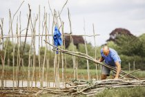 Man making a frame of pea sticks — Stock Photo