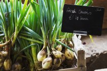Organic onions in wooden box — Stock Photo