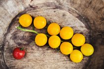 Pequenos tomates de videira amarela — Fotografia de Stock