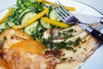 Assiette avec poisson grillé et salade — Photo de stock