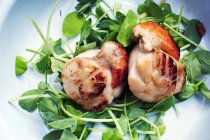 Plate with fried scallops and fresh herbs — Stock Photo