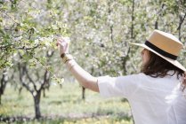 Жінка під яблунею в розквіті . — стокове фото
