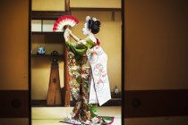Mujer que usa kimono y obi tradicionales - foto de stock
