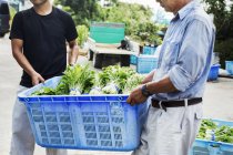 Men carrying a crate of harvested vegetables — Stock Photo