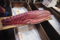 Traditional fresh fish market — Stock Photo
