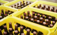 Yellow plastic crates with beer bottles — Stock Photo