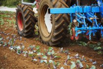 Tractor tirando de un cultivador - foto de stock