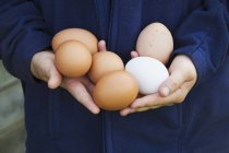 Person holding eggs. — Stock Photo