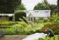Giardinaggio donna con serra — Foto stock