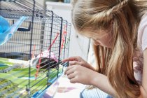 Дівчина дивиться в клітку для домашніх тварин — стокове фото