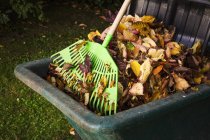 Rake and bin of autumn leaves — Stock Photo