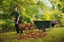 Gardener using leaf blower — Stock Photo