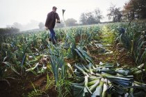 Homme debout parmi la récolte de poireaux — Photo de stock
