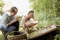 Жінки дивляться на літній сад — стокове фото
