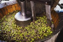 Schüssel mit Oliven in einem mechanischen Prozessor — Stockfoto