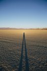 Man standing on playa at dusk — Stock Photo