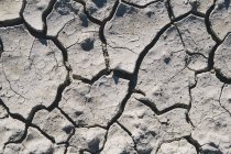 Close up of cracked earth — Stock Photo