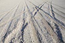Tire tracks on playa — Stock Photo
