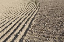 Rows of planted farmland and soil — Stock Photo