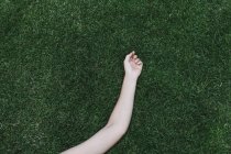 Junge Frau Arm und Hand auf üppigen — Stockfoto