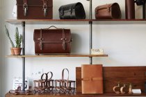 Briefcases and bags on shelves. — Stock Photo