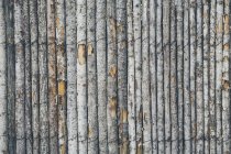 Забор из стволов деревьев — стоковое фото