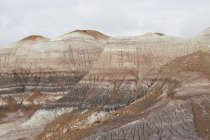 Окрашенные скалы пустыни — стоковое фото