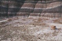 Vista do deserto pintado — Fotografia de Stock