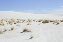 Перегляд білі піски національного природного парку — стокове фото