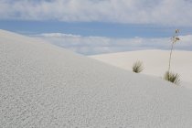 Перегляд білі піски національного природного парку — стокове фото