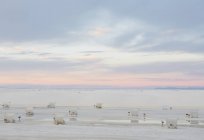 Mesas de piquenique e abrigos em White Sands — Fotografia de Stock