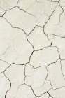 Трещины на поверхности сухого грунта — стоковое фото