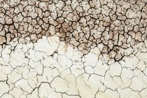 Surface du sol desséché fissuré — Photo de stock