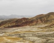 John Day Fossil Beds — Stock Photo