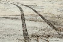 Tire tracks on surface of desert — Stock Photo