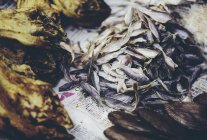 Meeresfrüchte zum Verkauf auf dem schwimmenden Markt — Stockfoto