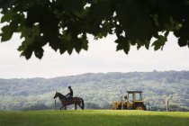 Всадник на коне и тракторе в поле — стоковое фото
