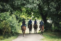 Riders on horses riding along path — Stock Photo