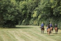 Jinetes en caballos de pura raza a lo largo del camino - foto de stock