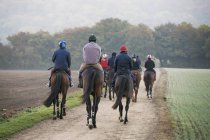 Jinetes en caballos de pura raza a lo largo del camino - foto de stock