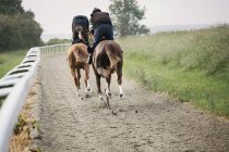 Двоє коней і гонщиків на доріжці — стокове фото