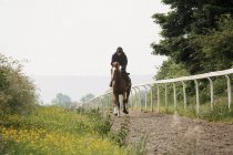 Woman on horse riding along cinder path — Stock Photo
