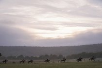 People on horses riding across field — Stock Photo