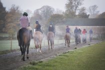 Gruppo di cavalieri su cavalli marroni — Foto stock