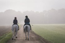 Cavaleiros em cavalos andando ao longo do caminho — Fotografia de Stock